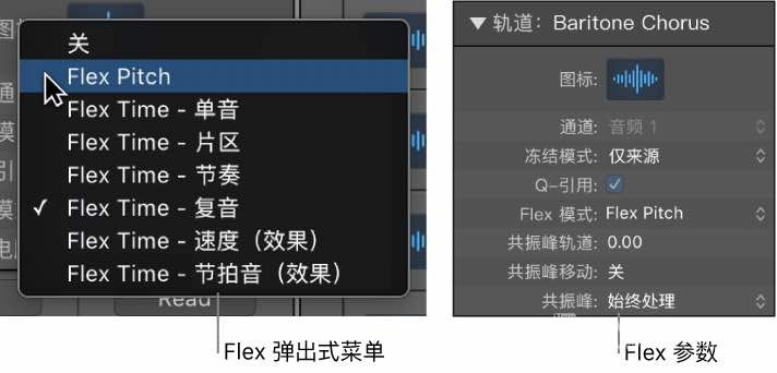 显示 Flex 算法和参数的轨道检查器