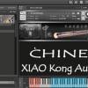 kong-audio-chinese-2