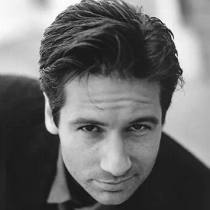 Mulder 的头像