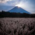 Mount Fuji1