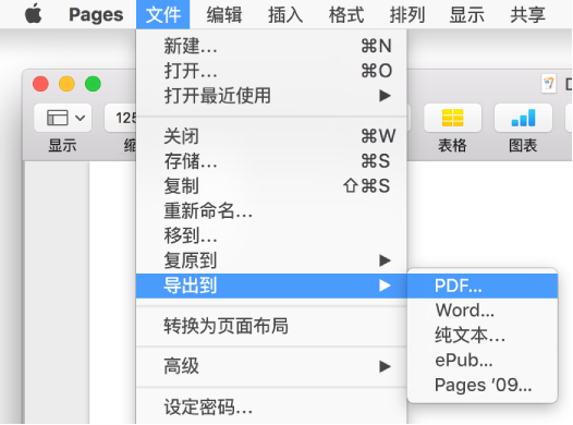 打开的“文件”菜单，其中“导入到”被选定，且其子菜单显示“PDF”、“Word”、“纯文本”、“ePub”和“Pages '09”导出选项