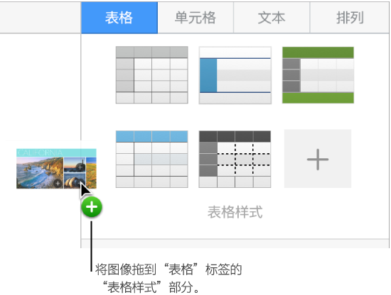 将图像拖移到“表格样式”面板以创建新的样式。